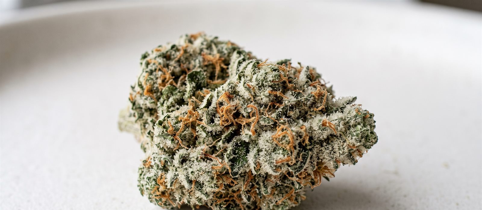 Aurora Hybrid 22/1