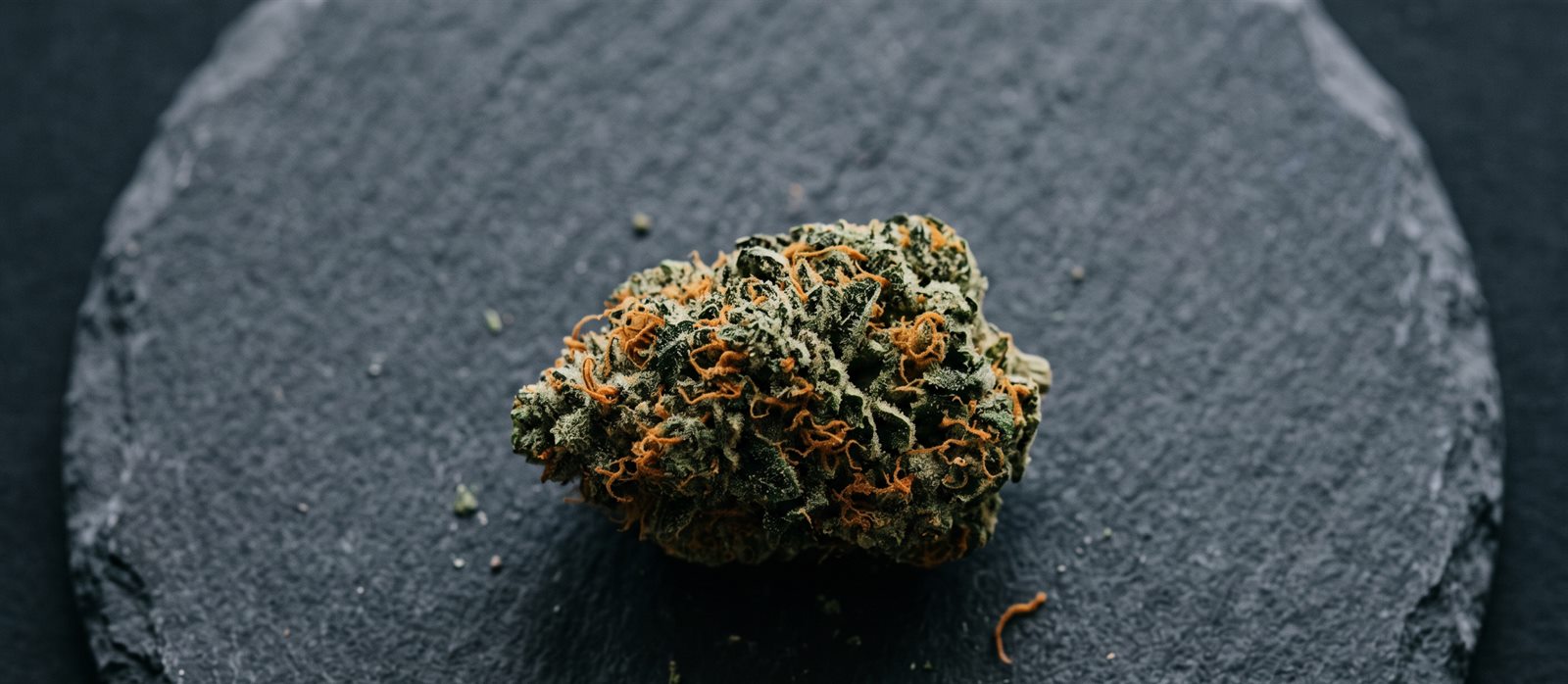 Green Indica 18/1